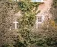 The tenement stands in the heart of Gdansk
