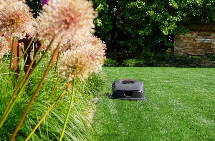 Choosing a mower matters - from petrol to automatic, each offers something for your lawn