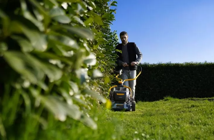 Regular mowing at the right height promotes healthy lawn growth