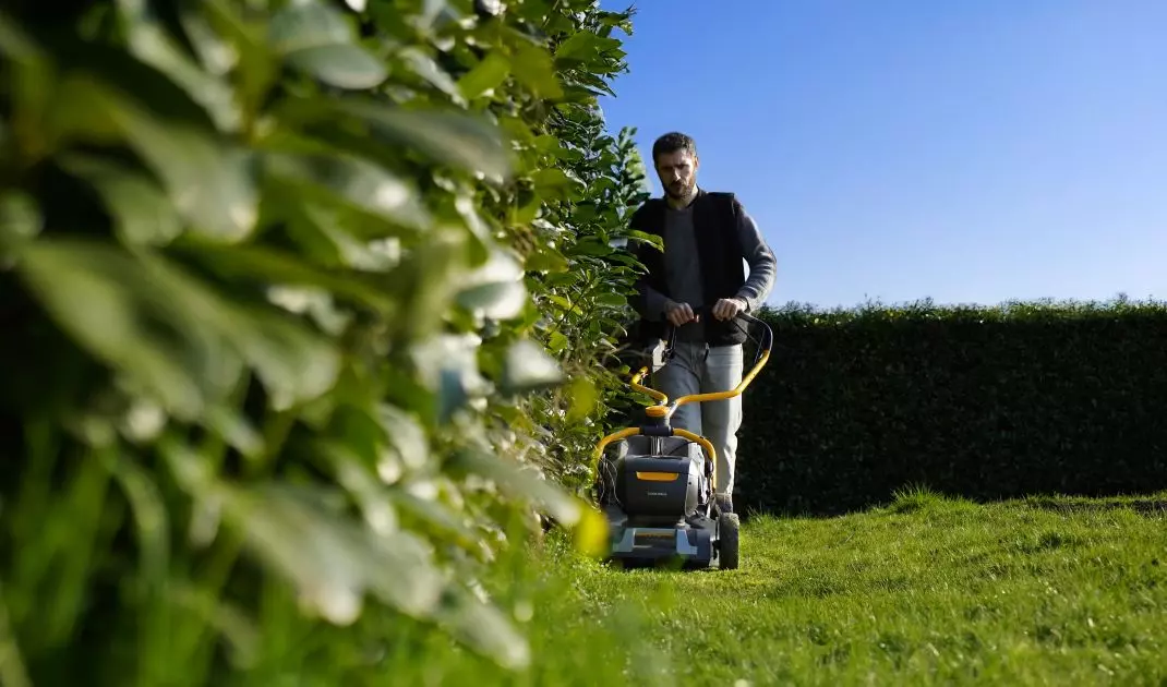 Regular mowing at the right height promotes healthy lawn growth