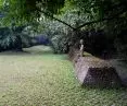 Luyeyuan Stone Sculpture Museum 