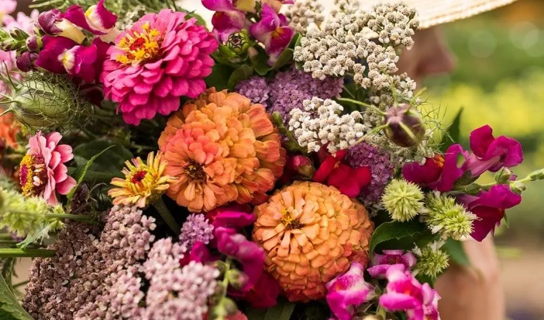 Growing flowers for bouquets is gaining popularity