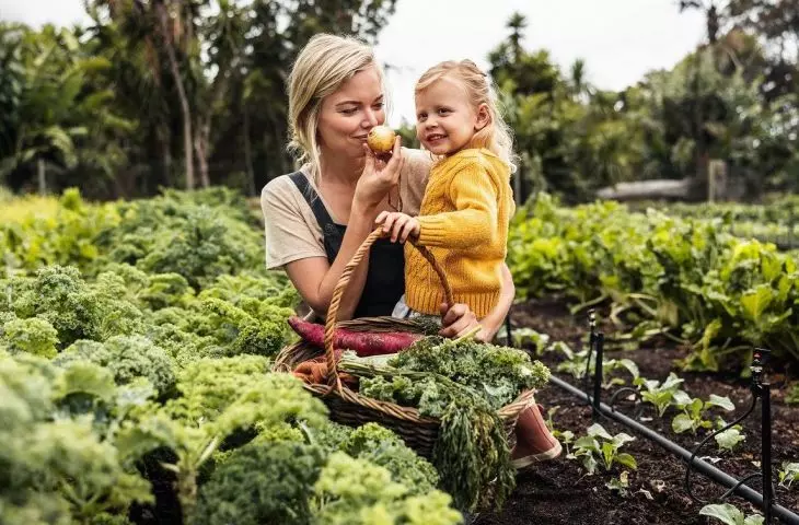 Wellbeing gardening opiera się na świadomym obcowaniu z naturą, pielęgnowaniu roślin i tworzeniu przestrzeni sprzyjających relaksowi oraz regeneracji