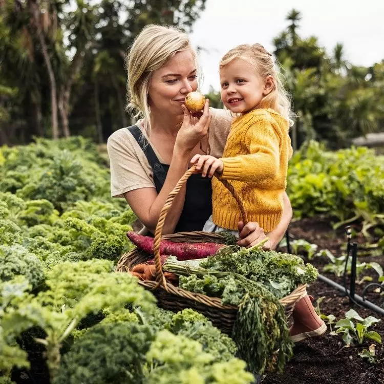 Wellbeing gardening opiera się na świadomym obcowaniu z naturą, pielęgnowaniu roślin i tworzeniu przestrzeni sprzyjających relaksowi oraz regeneracji