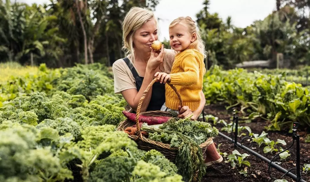 Wellbeing gardening is based on conscious communion with nature, nurturing plants and creating spaces that promote relaxation and regeneration