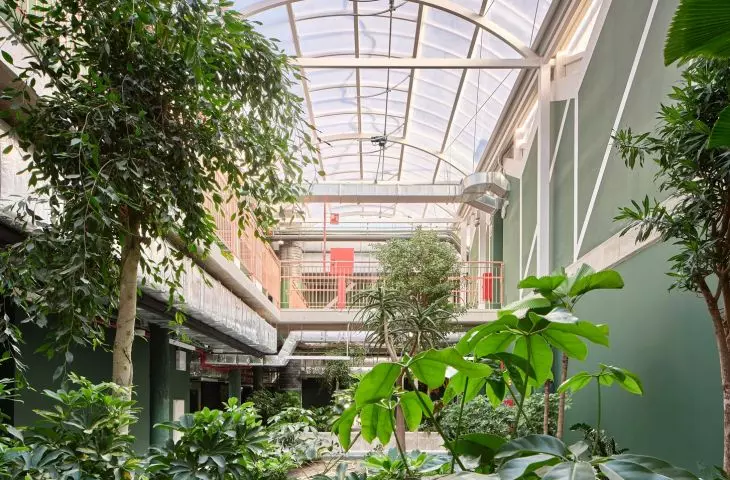 Reggio School in Madrid - the upper floors, designed for older children, surround a rain-fed indoor garden