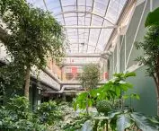 Reggio School in Madrid - the upper floors, designed for older children, surround a rain-fed indoor garden