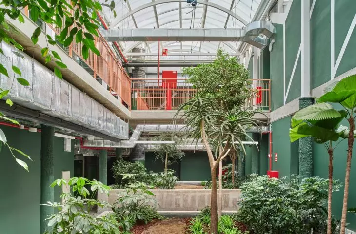 Reggio School in Madrid