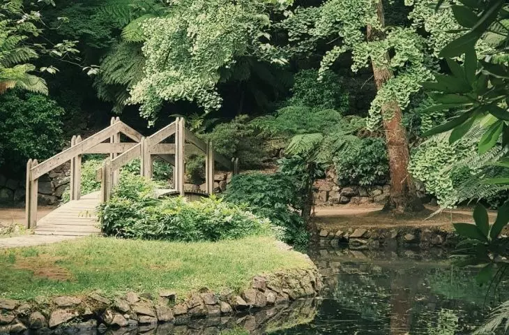 Water elements in the garden promote tranquility