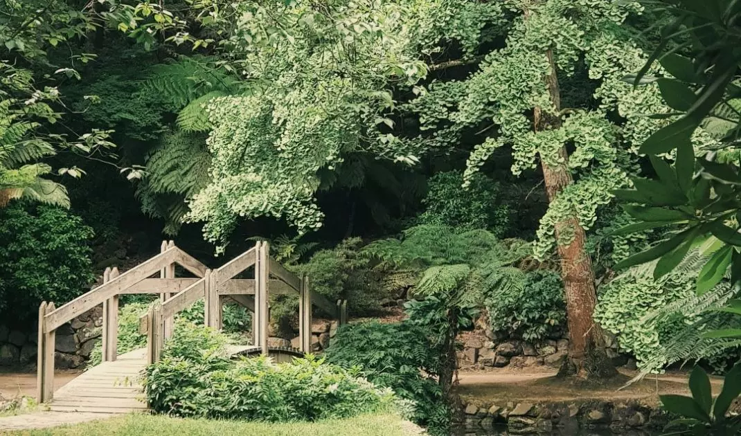 Water elements in the garden promote tranquility
