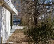Open Courtyard in front of CK Zamek in Poznań