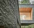 Forest House