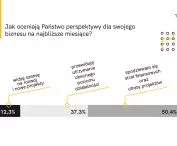 Survey report 