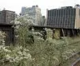 High Line in New York 