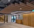 Fovere - acoustic design under the ceiling