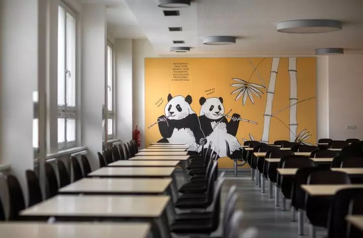 Ecophon Akusto wall panels with personalized printing