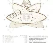 level 0 projection