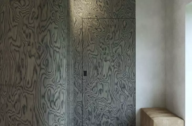 Organic House in Krakow