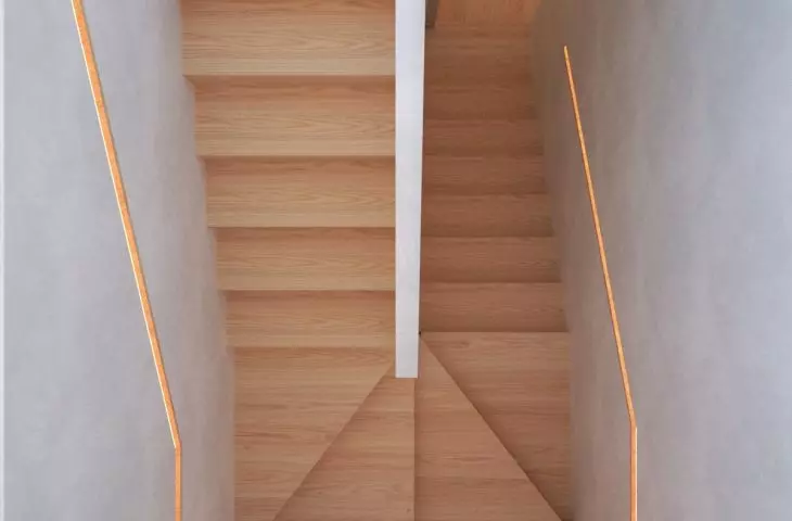 Organic House in Krakow