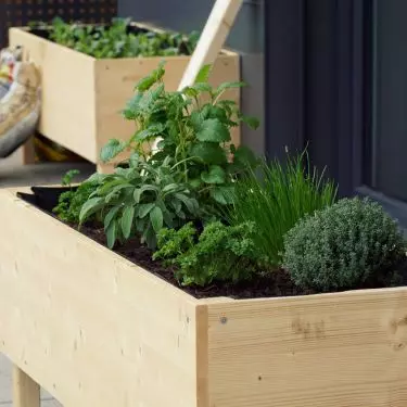 You can plant aromatic herbs in boxes