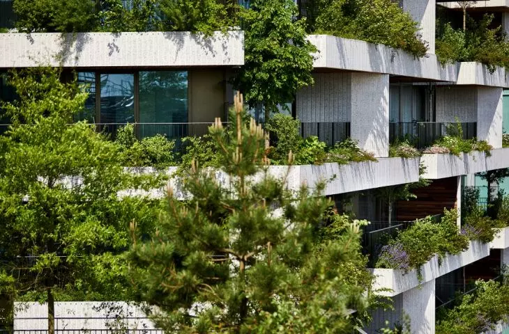 Na elewacjach Wonderwoods posadzono 360 drzew oraz 50 tysięcy roślin należących do 30 rodzimych gatunków