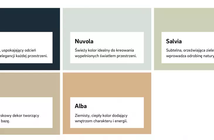 color palette