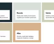 color palette