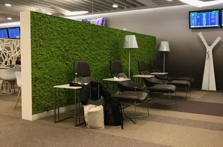 Green moss walls and vertical gardens. A space bathed in greenery
