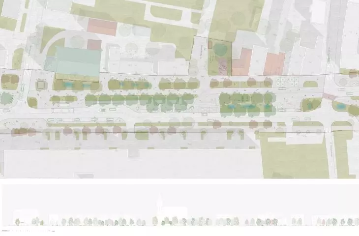 sections
