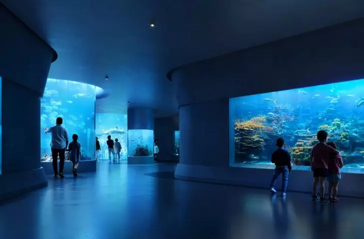 Mediterranean Cultural Center in Reggio Calabria - view of the aquarium 