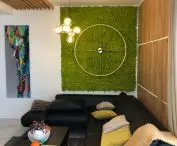 Green moss walls and vertical gardens. A space bathed in greenery