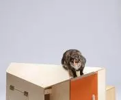 Catsteria