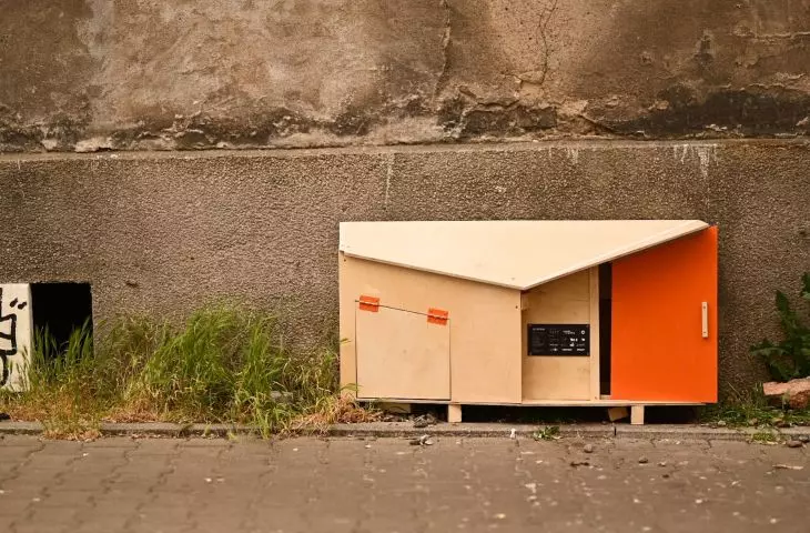 Catsteria