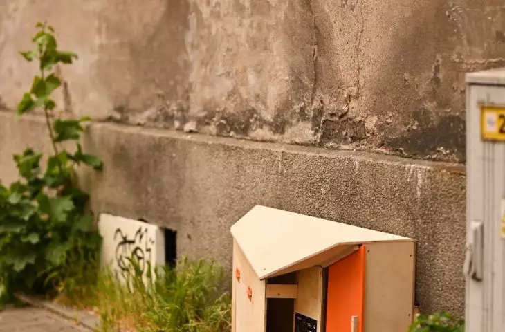 Catsteria