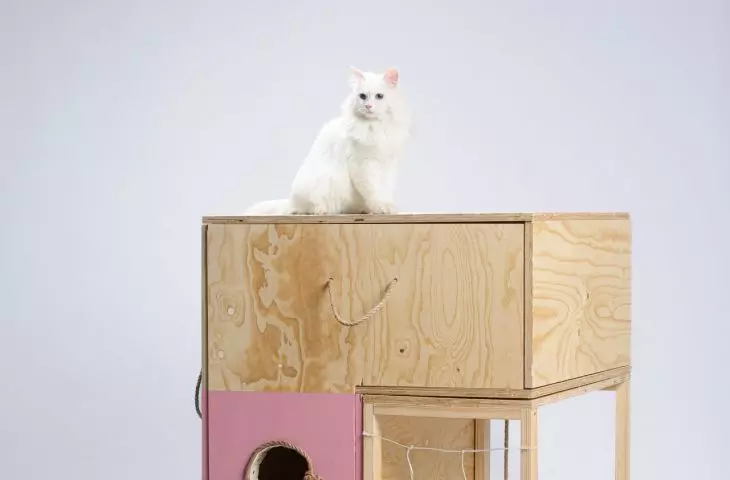 Houses for cats from Chociszewski ROD