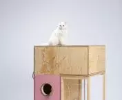  Houses for cats from Chociszewski ROD