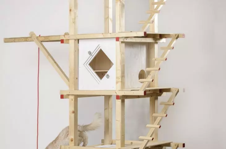 TOTEM