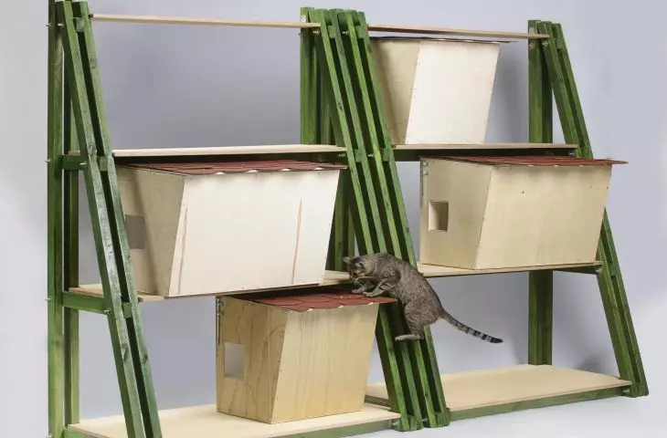 Cottages for cats living in the Warta River Family Allotment Garden