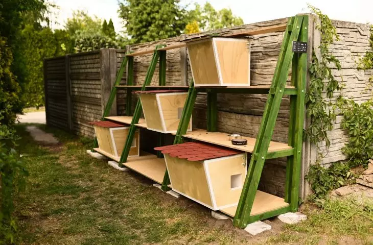 Cottages for cats living in the Warta River Family Allotment Garden