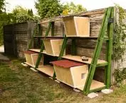 Cottages for cats living in the Warta River Family Allotment Garden