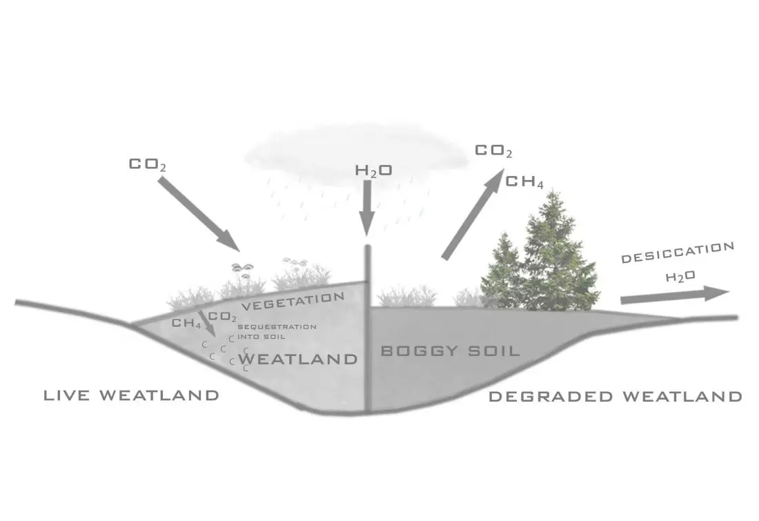 Wyróżniony projekt House in Forest 2020 – infografika