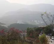 Shaolin Flying Monk Theater
