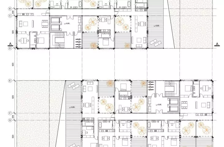 plan of level +1