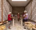 Coconut Harvester Center Estudio Flume