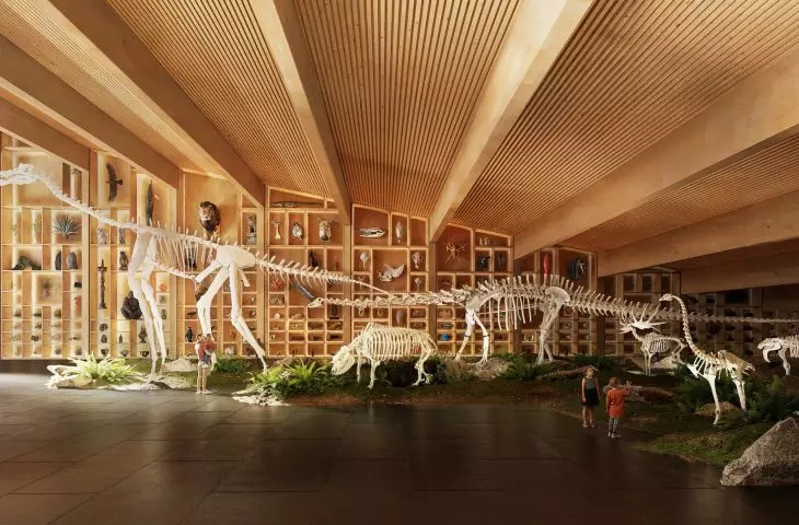 Hungarian Museum of Natural History in Debrecen - interior visualization  