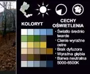 analiza kolorytu jesienią