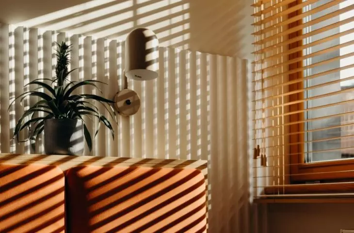Light highlights the texture of natural materials