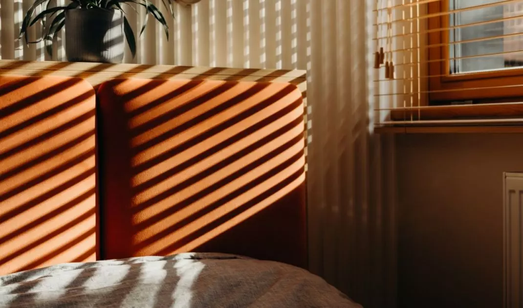 Light highlights the texture of natural materials