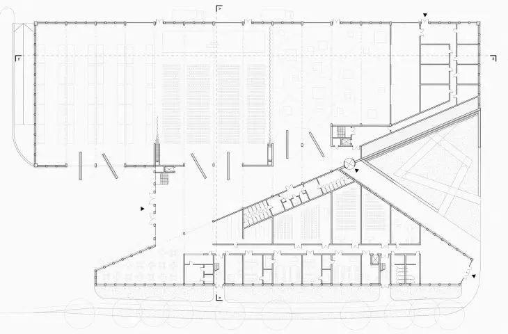 level 0 projection