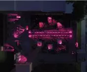 visualization of the event